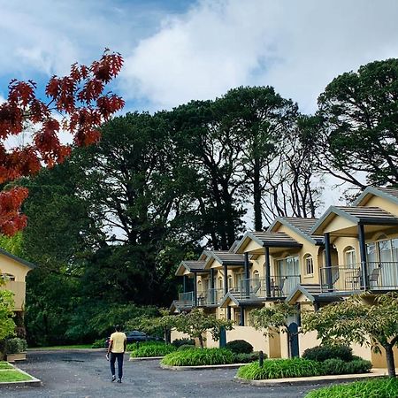 Falls Mountain Retreat Blue Mountains เวนท์เวิร์ทฟอลส์ ภายนอก รูปภาพ
