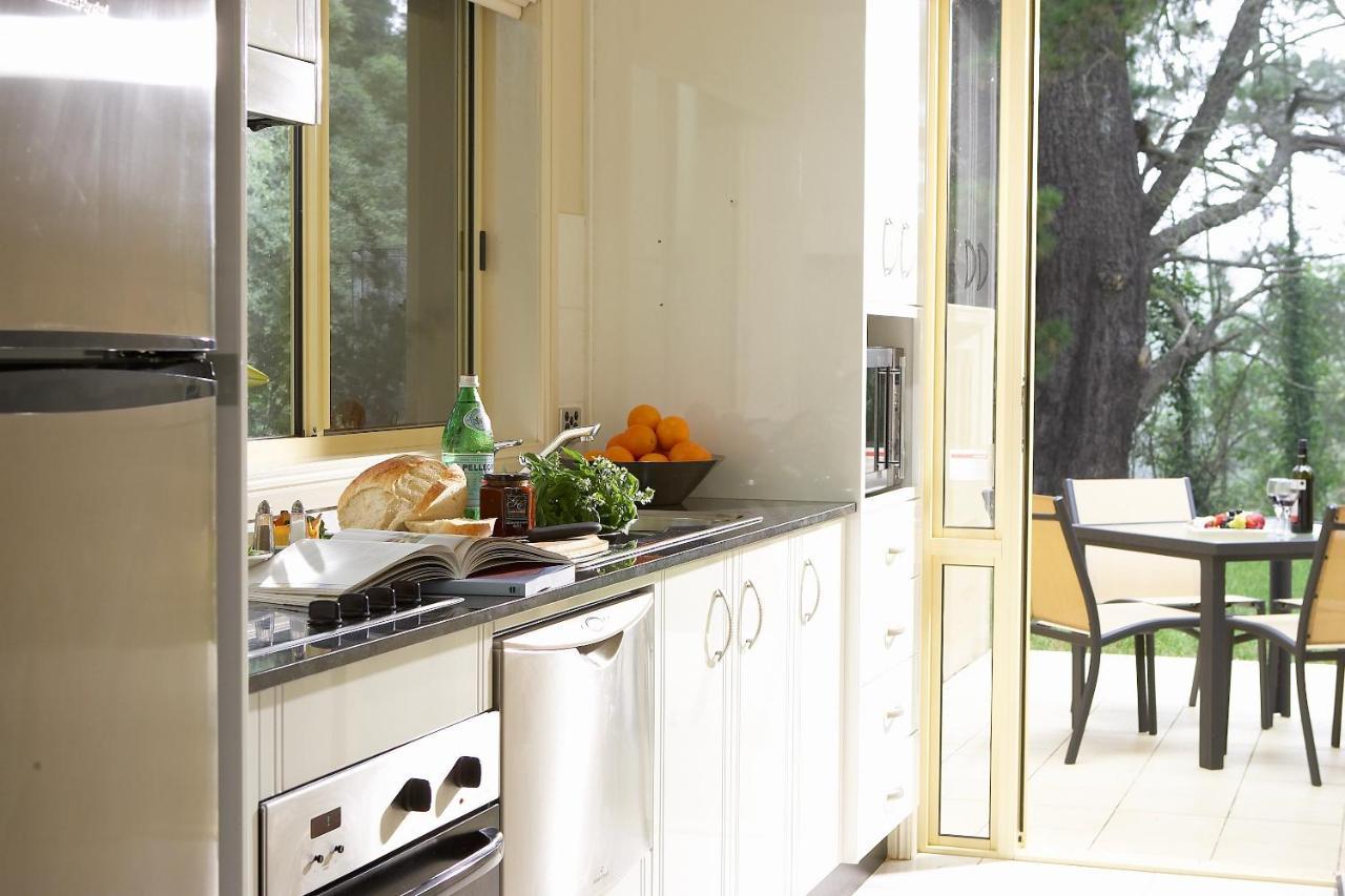 Falls Mountain Retreat Blue Mountains เวนท์เวิร์ทฟอลส์ ภายนอก รูปภาพ