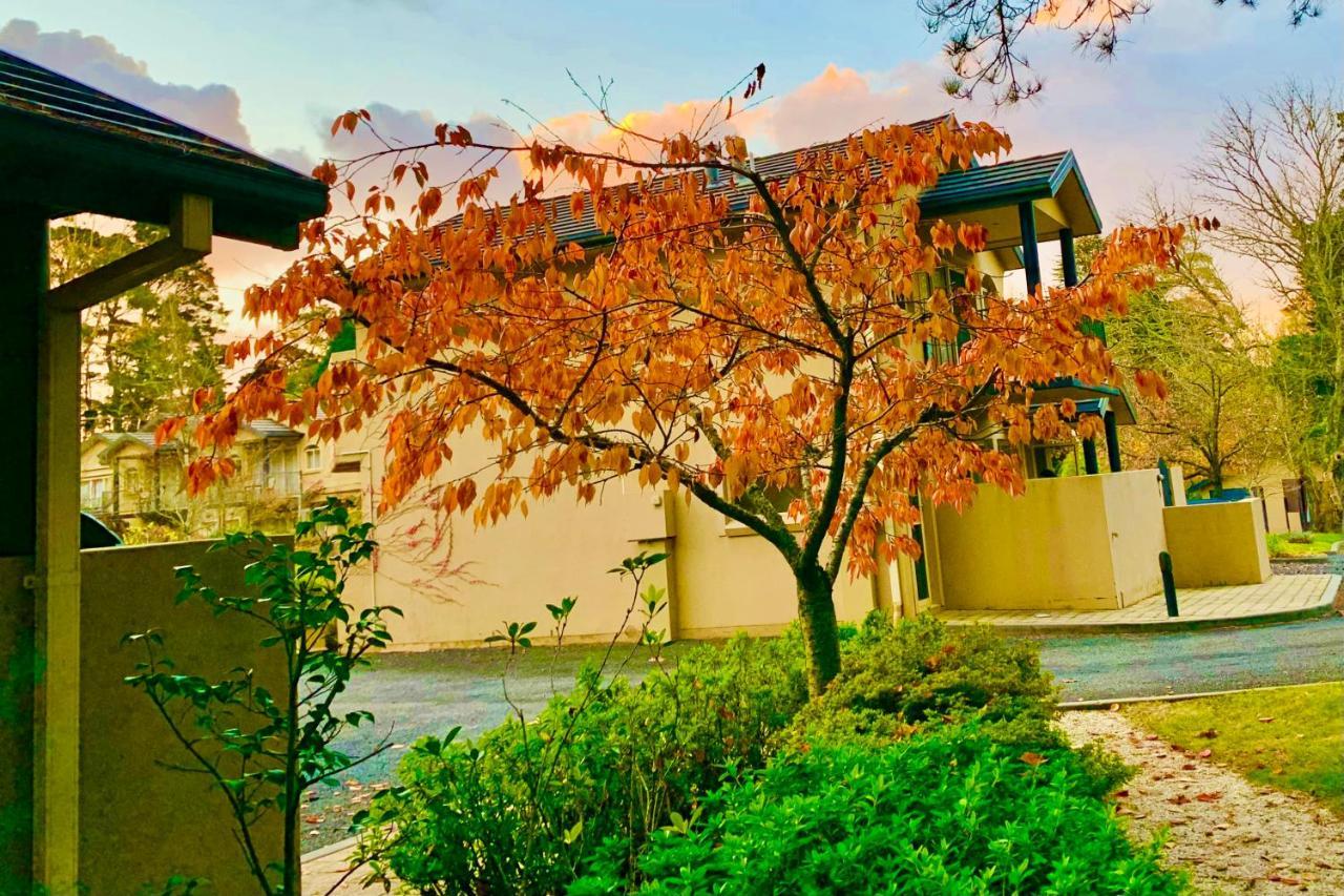 Falls Mountain Retreat Blue Mountains เวนท์เวิร์ทฟอลส์ ภายนอก รูปภาพ