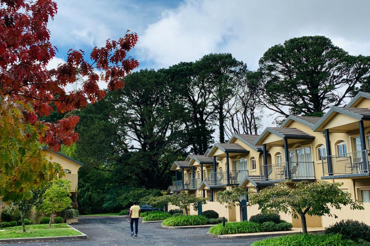 Falls Mountain Retreat Blue Mountains เวนท์เวิร์ทฟอลส์ ภายนอก รูปภาพ